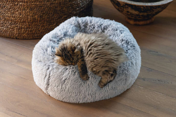 beeztees Orthopädisches Plüschbett Siba